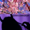 blossomxhype