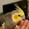 emzymayzy