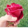 mjhoola99