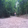 maszeruje