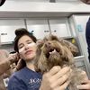spamstes_02