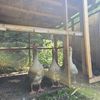 farmyardfrenzy1
