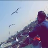 anmarnmro