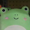 gay.frog.bitch