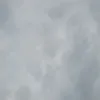 gilbertodeoliveira667