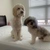 boonathelab