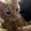 joey092713