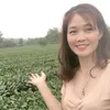 hoarubi992