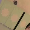 shibal_sick