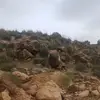 ashrafmostaf