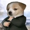 jjjeauuuu