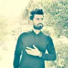 alimajidalakibee