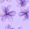 luciernagaa20