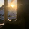 meissa_glf