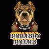 Burleson Bullies, llc