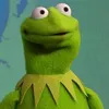 albert_kermit7