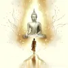 phannguyendieuphuc16