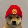 lamdz_0211