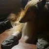 labrasa90
