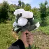dye9c8b3jm3j