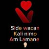 gulled__zimba