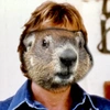 woodchuck_norris