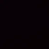 user530293769