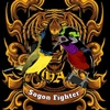 sogon_fighter1