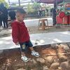 www.titok.comgunawan390