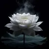 pi.lizi