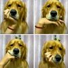 unknown_5473.0