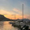 _.omsofia._
