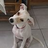 elygutiierrezcabr