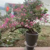 user469upjd362