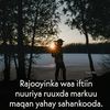maalkacadeey943