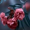 abonasser_alenzi