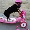 weewoweewo0
