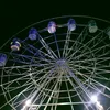 abhie0440