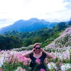 mommyshiek