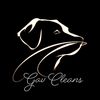 gavcleans