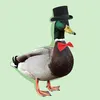 dashing.duck