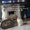 nalablizzardtails