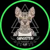 gangster_sphynx