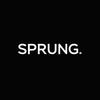 sprungconsulting