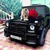 mohamedbakr5294