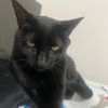 nury_6628