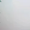 julia_gabrielle8
