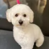 diegomorejon3