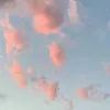 gabriel_marra