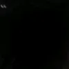 dnl2080